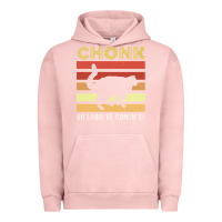 Pigment Salmon chonk cat funny cat meme cat dad cat mom Urban Hoodie - artisFamous