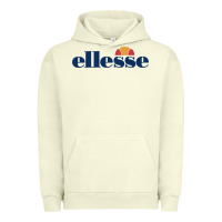 Pigment Pistachio Ellesse Urban Hoodie - artisFamous