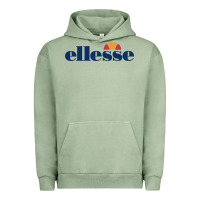 Ellesse Urban Hoodie | Teevron