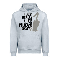 Heather Grey i just really like pelicans okay Urban Hoodie - artisFamous