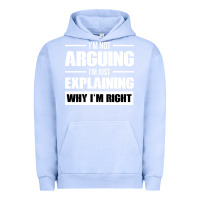 Pigment Grape Ice I'M NOT ARGUING I'M JUST EXPLAINING WHY I'M RIGHT FUNNY Urban Hoodie - artisFamous