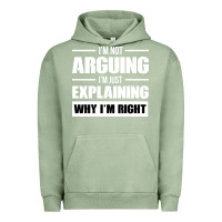Pigment Oil Green I'M NOT ARGUING I'M JUST EXPLAINING WHY I'M RIGHT FUNNY Urban Hoodie - artisFamous
