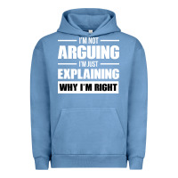 Pigment Pebble Blue I'M NOT ARGUING I'M JUST EXPLAINING WHY I'M RIGHT FUNNY Urban Hoodie - artisFamous