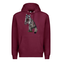Burgundy Raccoon Illustrations Premium Hoodie - LillyAllenDesigns