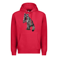 Cardinal Raccoon Illustrations Premium Hoodie - LillyAllenDesigns
