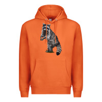 Carrot Raccoon Illustrations Premium Hoodie - LillyAllenDesigns