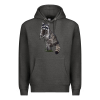 Charcoal Heather Raccoon Illustrations Premium Hoodie - LillyAllenDesigns