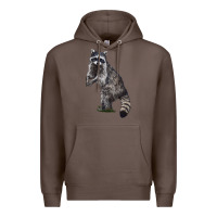 Coffee Raccoon Illustrations Premium Hoodie - LillyAllenDesigns