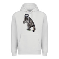 Dove Grey Raccoon Illustrations Premium Hoodie - LillyAllenDesigns