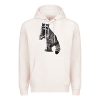 Pale Pink Raccoon Illustrations Premium Hoodie - LillyAllenDesigns