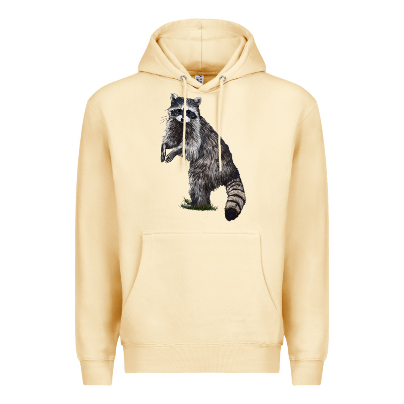 Raccoon Illustrations Premium Hoodie by LillyAllenDesigns | Teevron