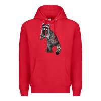 Red Raccoon Illustrations Premium Hoodie - LillyAllenDesigns