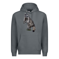 Rock Raccoon Illustrations Premium Hoodie - LillyAllenDesigns