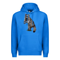 True Royal Raccoon Illustrations Premium Hoodie - LillyAllenDesigns