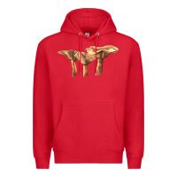 Red lactarius rufus mushroom Premium Hoodie - LillyAllenDesigns