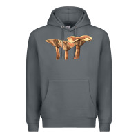 Rock lactarius rufus mushroom Premium Hoodie - LillyAllenDesigns