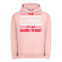 Pigment Salmon funny accounting design   gift for accountants Urban Hoodie - artisFamous