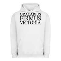 Pigment Lunar Rock gradarius firmus victoria Urban Hoodie - artisFamous
