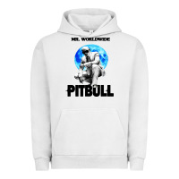 Pigment Lunar Rock merch mr worldwide pit bull Urban Hoodie - artisFamous