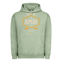 Pigment Oil Green Amir Personalized Name Birthday Gift Urban Hoodie - artisFamous