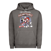 Pigment Tornado it’s time for animaniacs Urban Hoodie - artisFamous