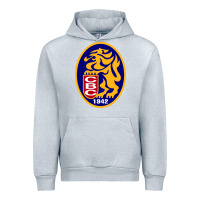 Heather Grey leones del caracas Urban Hoodie - artisFamous
