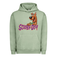 Pigment Oil Green Scooby-Doo Urban Hoodie - artisFamous
