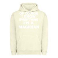 Pigment Pistachio i know everything i'm a magician Urban Hoodie - artisFamous