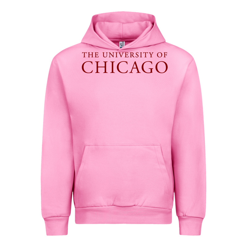 College Of Chicago Urban Hoodie by artisFamous | Teevron