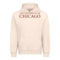 Sandshell College of Chicago Urban Hoodie - artisFamous