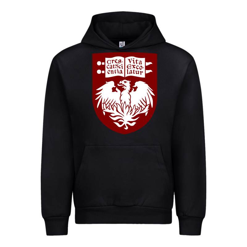 College Of Chicago Urban Hoodie by artisFamous | Teevron