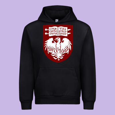 College Of Chicago Urban Hoodie Designed By Artisfamous