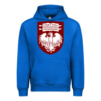 Cobalt College of Chicago Urban Hoodie - artisFamous