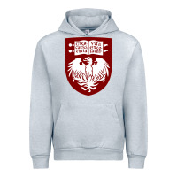 Heather Grey College of Chicago Urban Hoodie - artisFamous