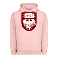 Pigment Salmon College of Chicago Urban Hoodie - artisFamous