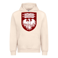 Sandshell College of Chicago Urban Hoodie - artisFamous