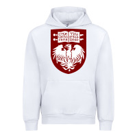 White College of Chicago Urban Hoodie - artisFamous
