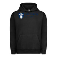 Wheaton College (illinois) Urban Hoodie | Teevron