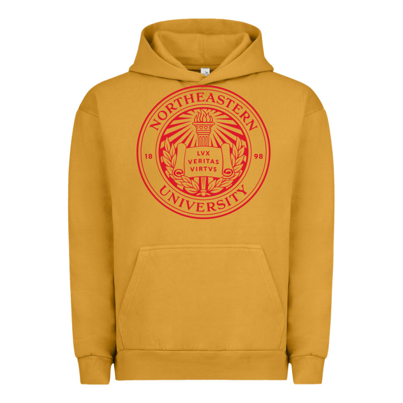 Northeastern University Urban Hoodie by artisFamous | Teevron