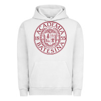 Pigment Lunar Rock seal bates college Urban Hoodie - artisFamous