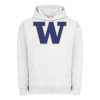 Pigment Lunar Rock washington Urban Hoodie - artisFamous