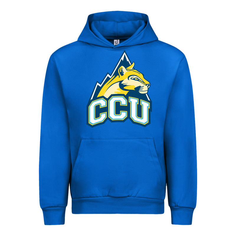 Colorado Christian Urban Hoodie by artisFamous | Teevron