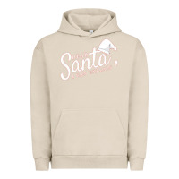 Pigment French Oak Dear Santa I Can Explain Urban Hoodie - artisFamous