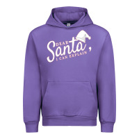 Tulip Dear Santa I Can Explain Urban Hoodie - artisFamous