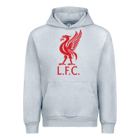 Heather Grey l f c Urban Hoodie - artisFamous