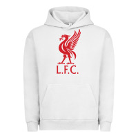 Pigment Lunar Rock l f c Urban Hoodie - artisFamous