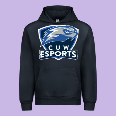 Concordia University Wisconsin Urban Hoodie Designed By Artisfamous
