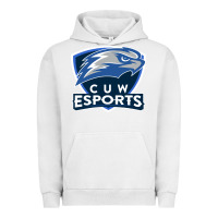 Pigment Lunar Rock concordia university wisconsin Urban Hoodie - artisFamous