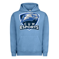Pigment Pebble Blue concordia university wisconsin Urban Hoodie - artisFamous