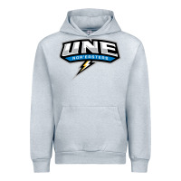 Heather Grey new england university Urban Hoodie - artisFamous